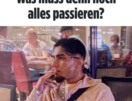 Nur die AfD wird daran etwas ändern